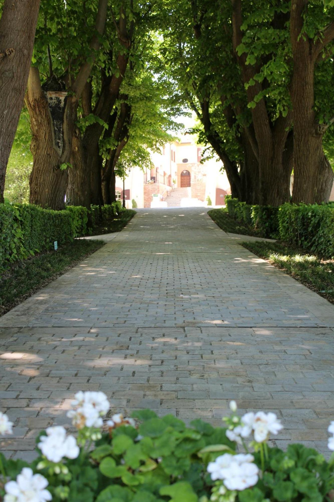 Palazzo Del Poggiano Bed & Breakfast Poggio Berni Екстериор снимка